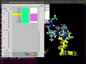 Installation of VMD - thumb